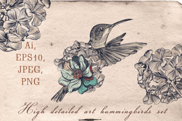 Collection of Vector Hummingbirds: A Beautiful and Elegant Set for Creative Projects