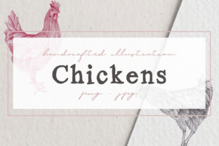 Hand Drawn Chicken Illustrations: A Creative Resource for Designers and Artists
